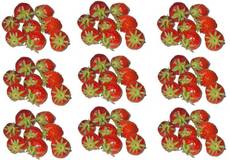 Erdbeeren-9x8.jpg
